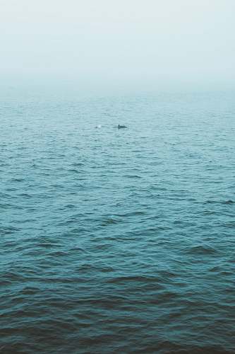 manhattan beach body of water blue